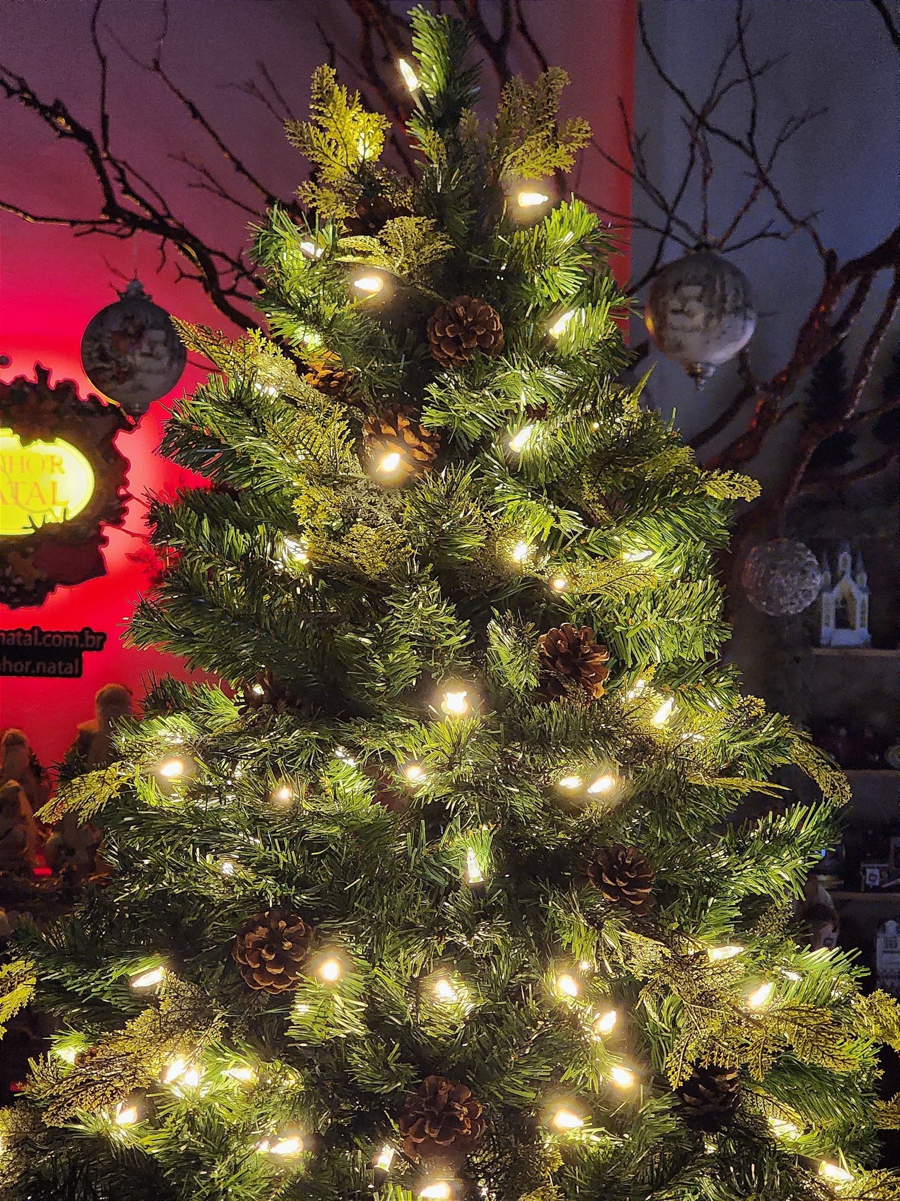 ÁRVORE REALISTA PINHEIRO CONSTELAÇÃO 400 LEDS WARM 1241 GALHOS 2,10CM MODELO CLICK BIVOLT