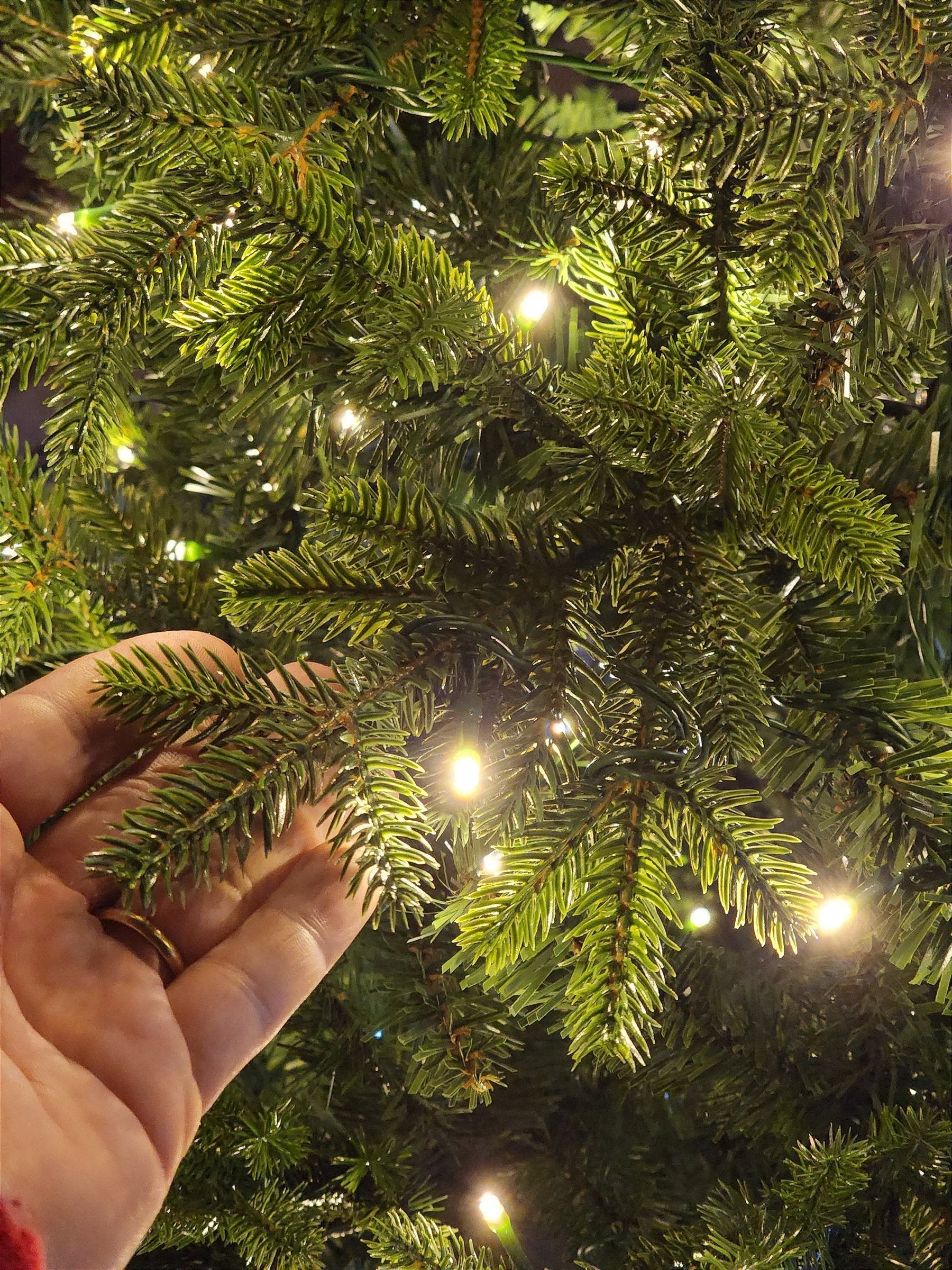 ÁRVORE REALISTA PINHEIRO AUSTRAL 2,10CM 450 LEDS WARM 801 GALHOS BIVOLT