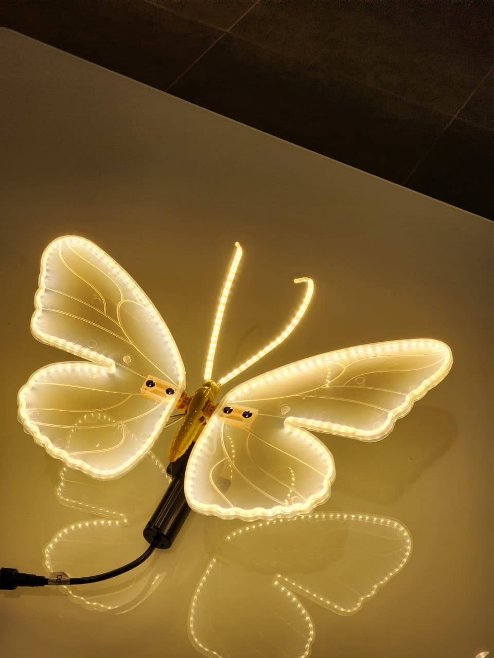 Borboleta Iluminada com LED e Movimento + Cabo Extensor