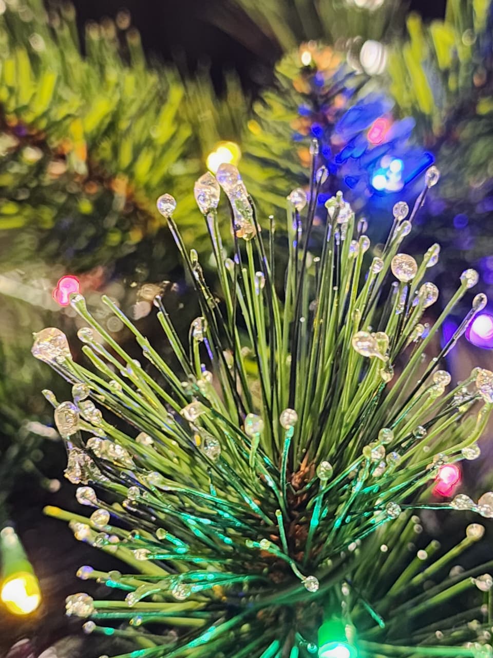 ÁRVORE PINHEIRO SINCELO 300 LEDS BICOLOR 860 GALHOS 2,10CM BIVOLT